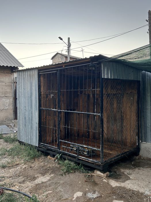 Утеленный вольер для собак