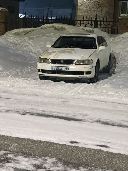 Пртдам. Таета аристо