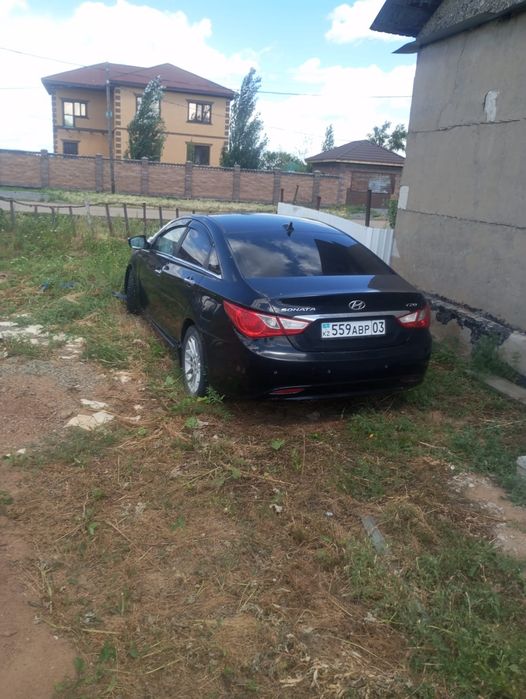 Hyundai Sonata y20