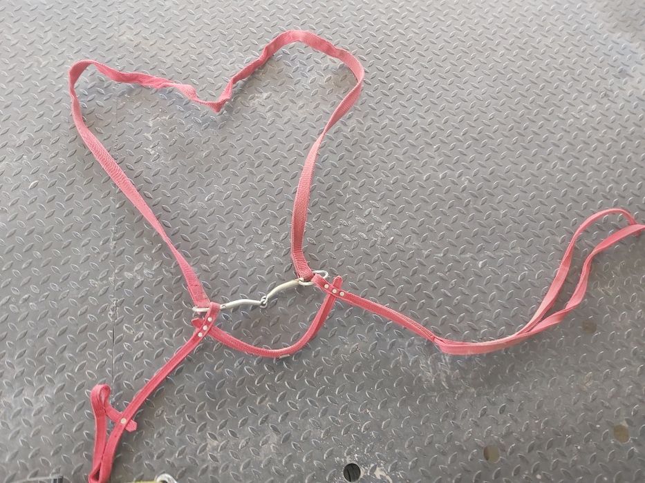 Жүген сатылады таидыкы