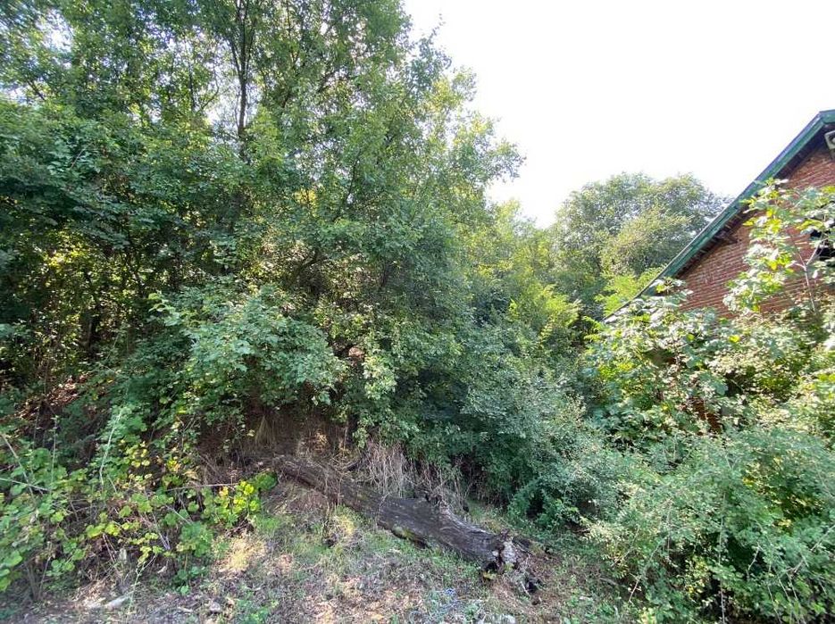 Продава се Парцел в Петрич - 2970 кв.м за 85 €/кв.м - Снимка #4