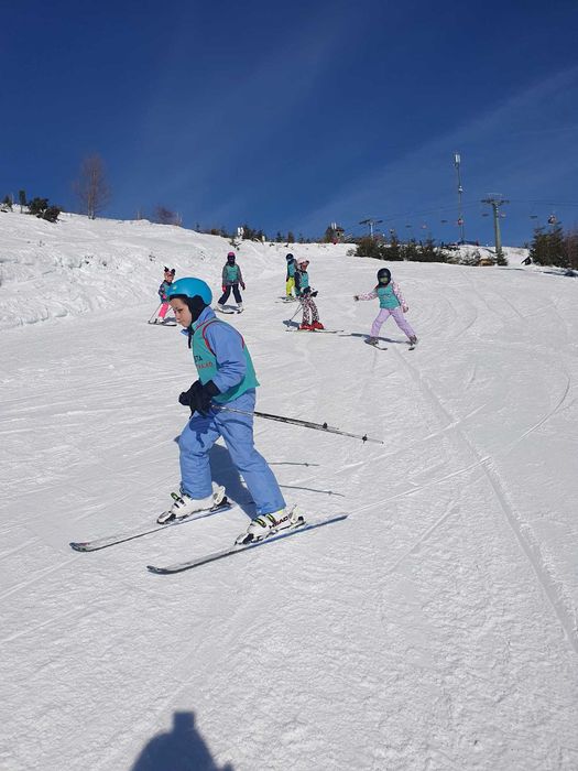 Scoala schi, Scoala ski