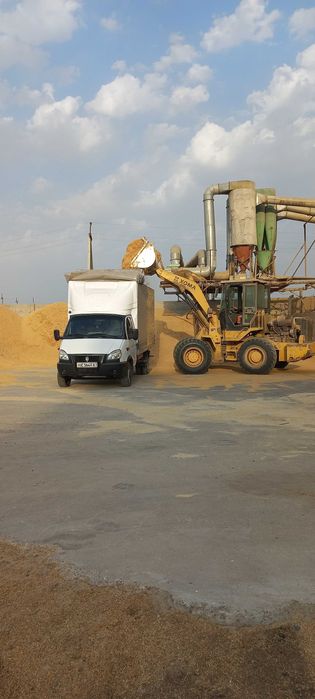 Шоли почок йетказиб берамиз