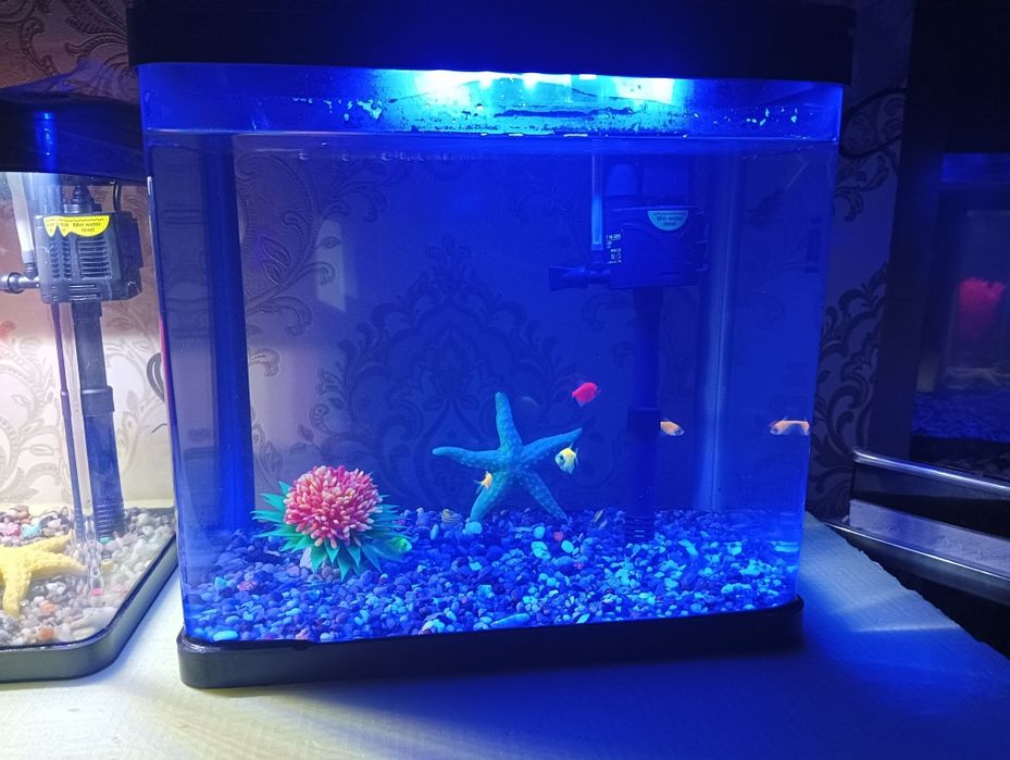 Xitoy akril akvarium komplekti