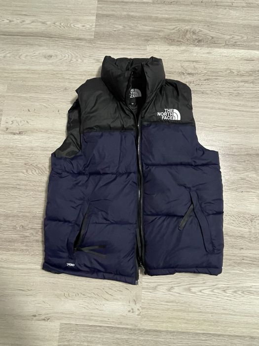 Vesta the north face