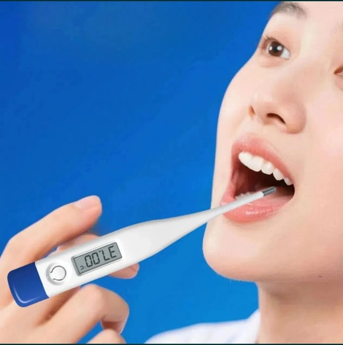 Термометор электронный