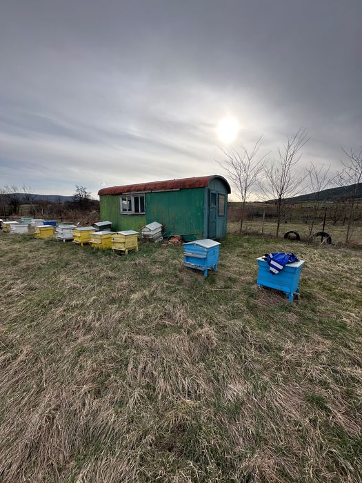 Кошери село Ярлово