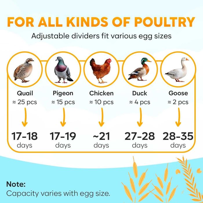 Инкубатор за 12 яйца с автоматично завъртане на яйцата и контрол