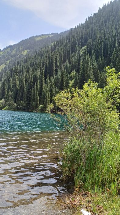 Продам 240/240..