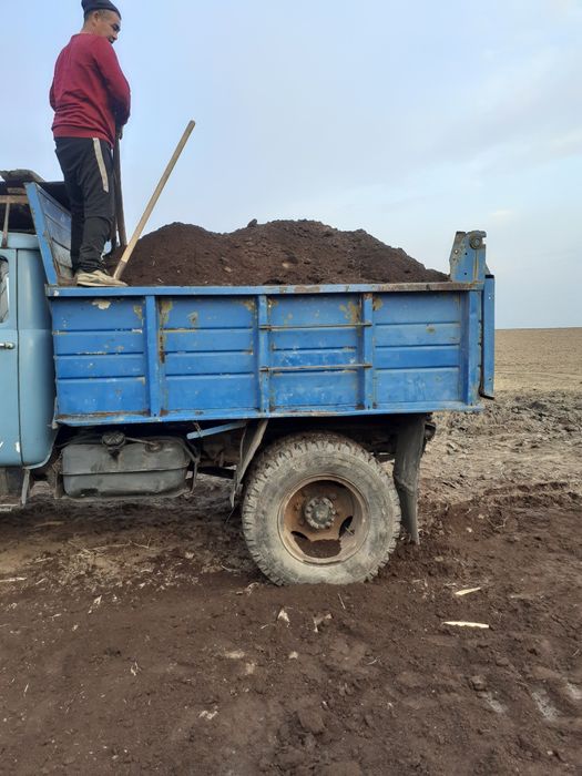 Пгс . Шгс.  Шгс. Отсев сникерс