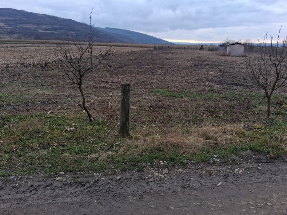 Teren de Vânzare