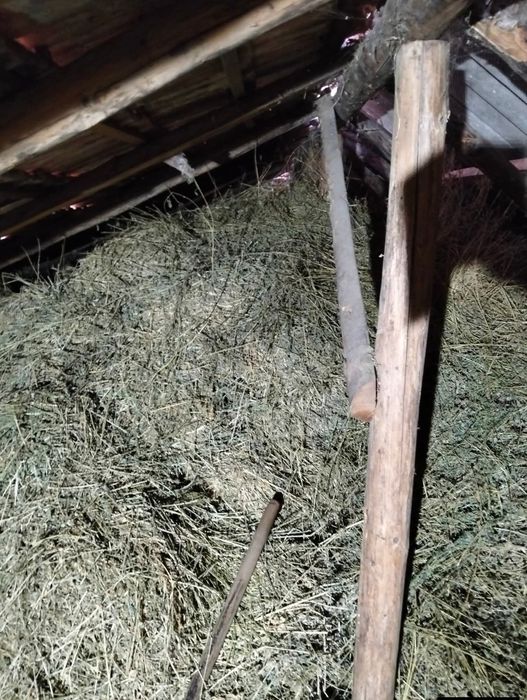 Lucerna vrac de vanzare