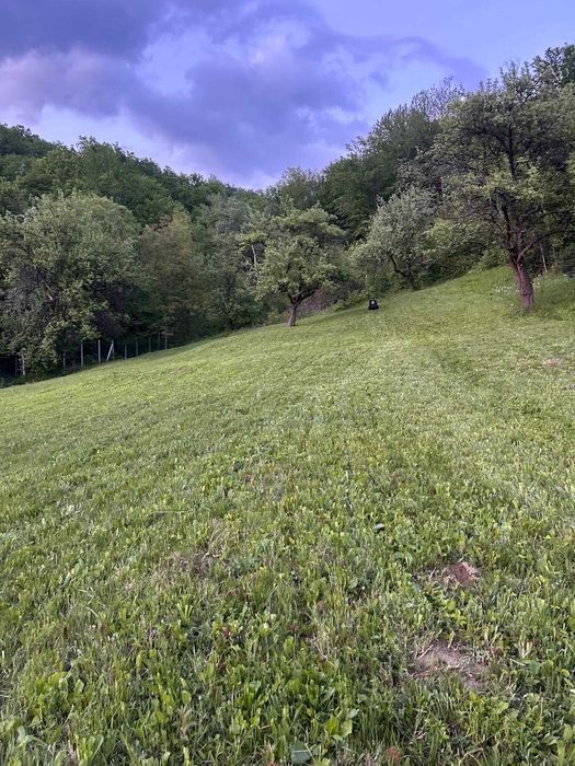 Teren 11.454 mp lângă pădure – Șoimari, Prahova – 4.709 mp intravilan + 6.745 mp extravilan