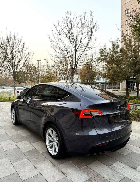 Tesla Model Y USA 2021/2022