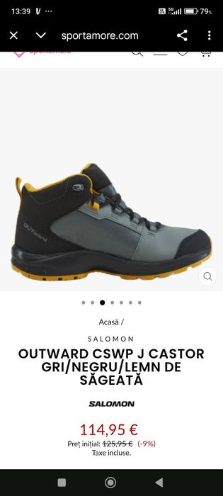 Vand ghete Salomon pret bun