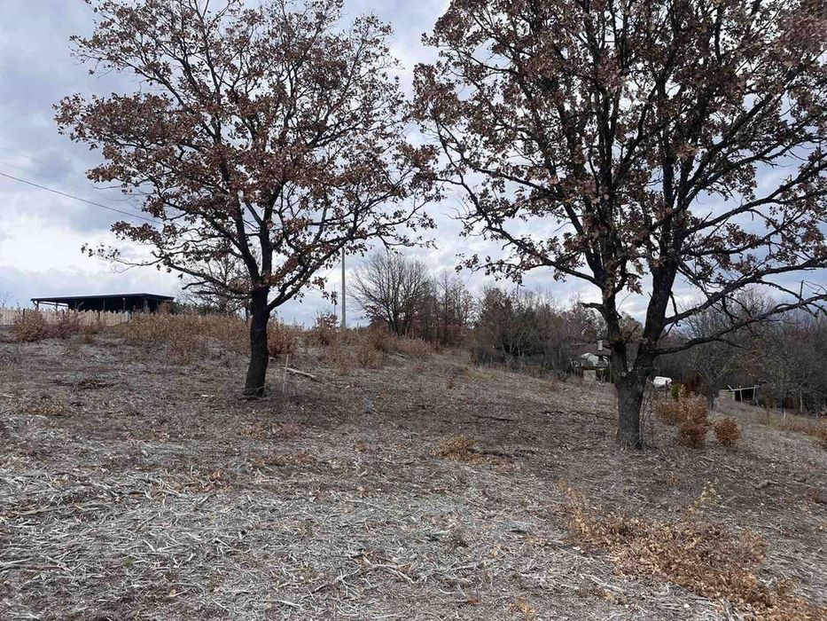 Продава се Парцел в с. Калище, Област Перник - 1000 кв.м за 54 €/кв.м - Снимка #1