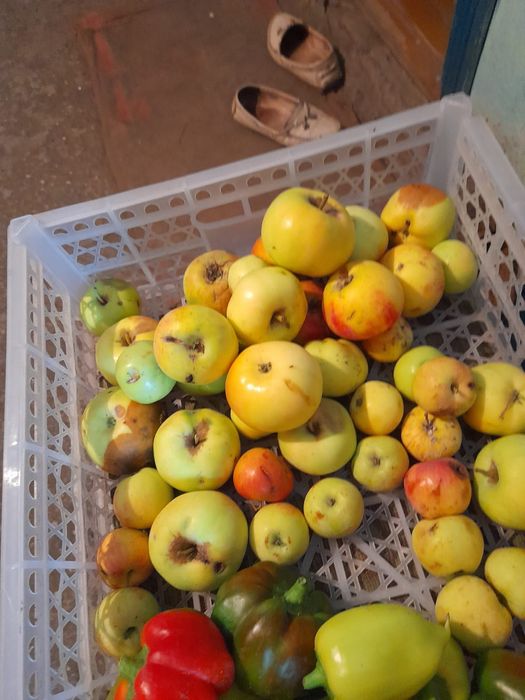 Срочно! Продам дачу! Район Бобровка