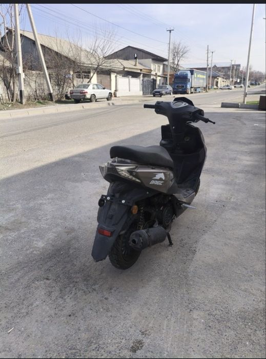 Мопед арендага берыледы