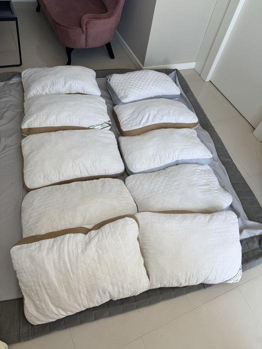 Vad 10 perne, 150 lei/8buc