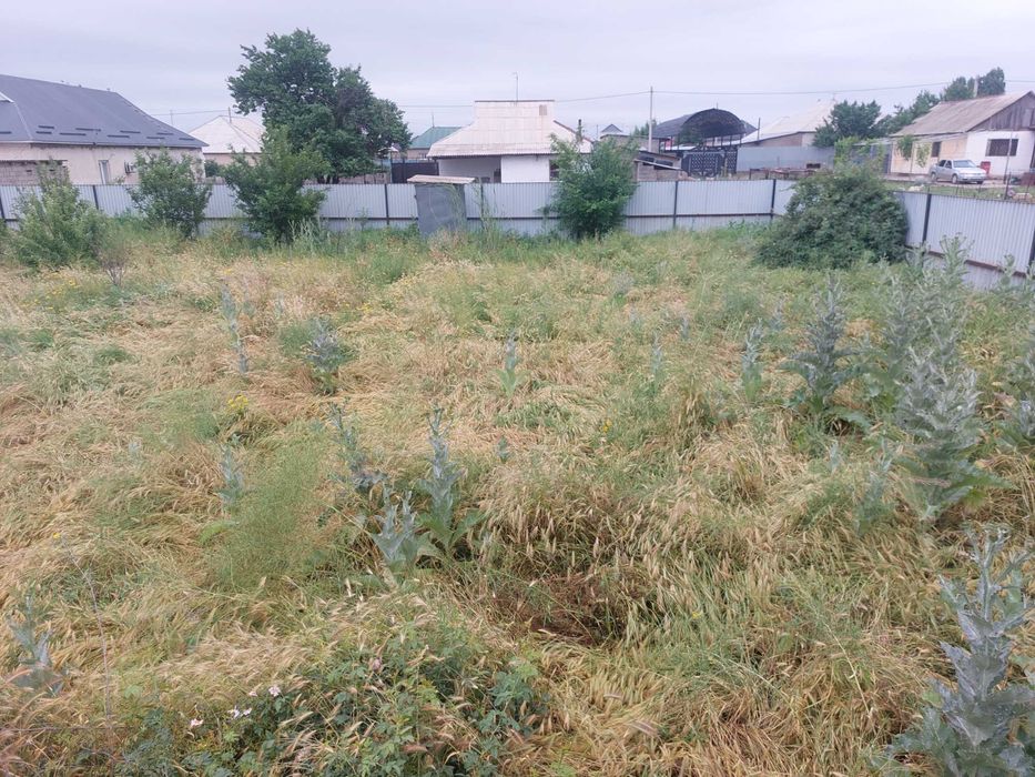 Продам дачу на Чубарсу 12сот.