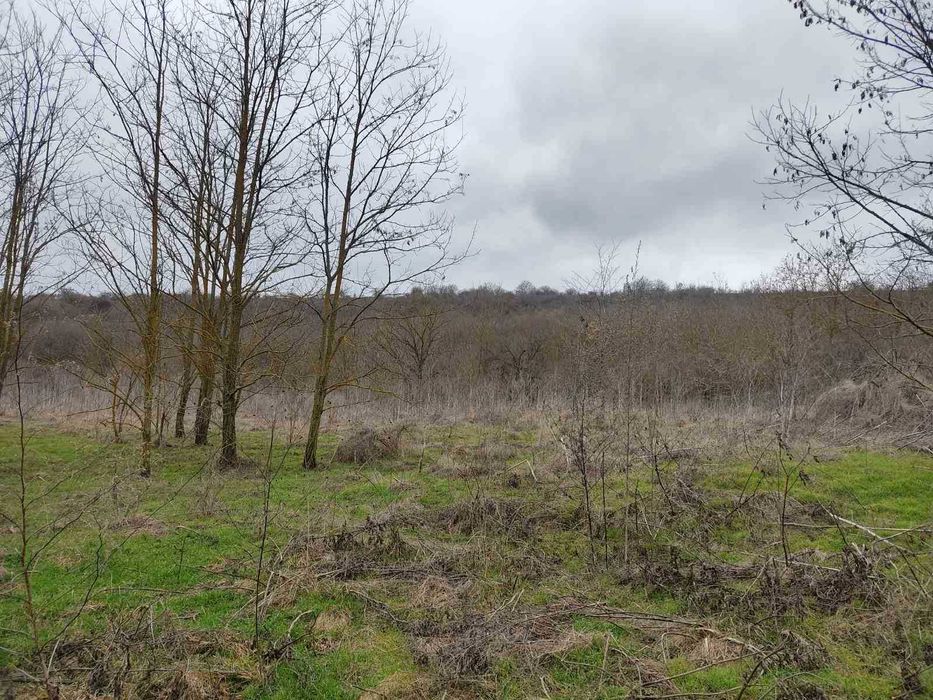 Продава се Къща в с. Краище, Област Добрич - 60 кв.м за 111 €/кв.м - Снимка #7