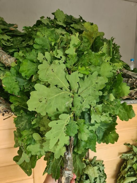 Веники  для бани