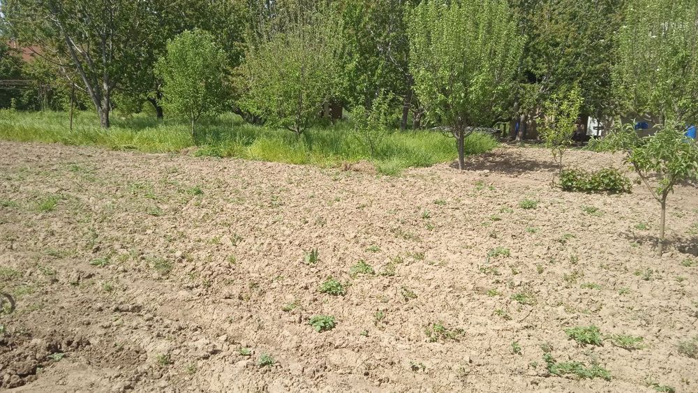 Dacha uchun yer sotiladi