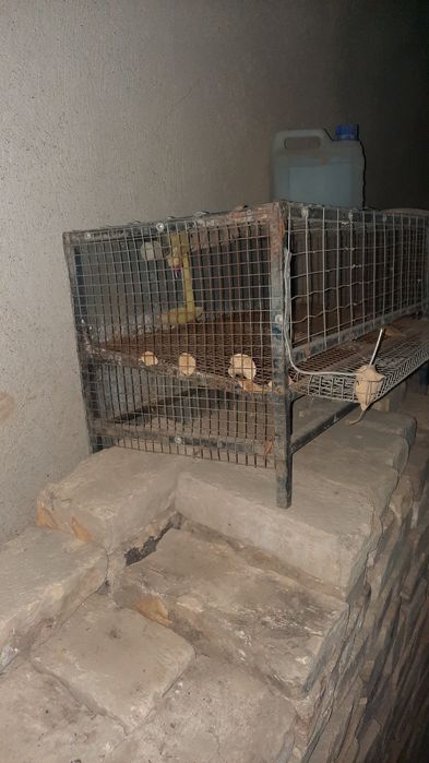 Клетка для перепёлок