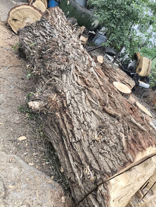 Продам дрова карагача