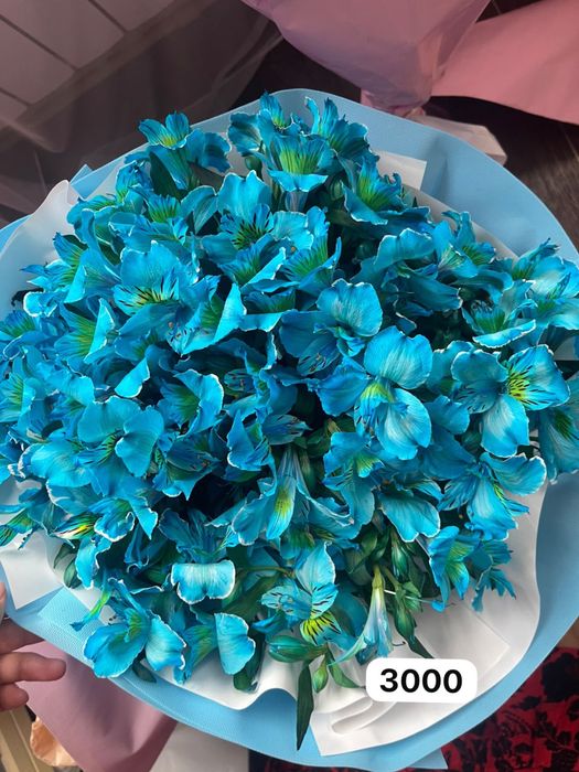 Продам свежие цветы