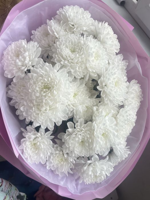 Цветы. Гүл. Цветы