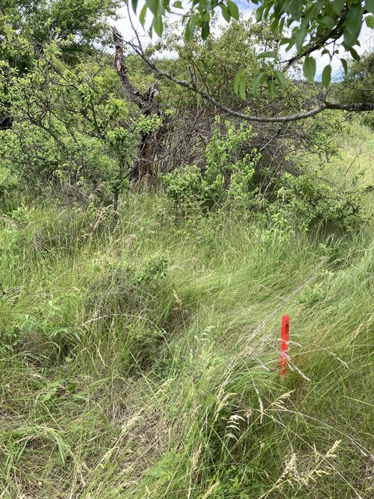 Продава се Парцел в Стара Загора, Самара 3 - 2450 кв.м за 10 €/кв.м - Снимка #1