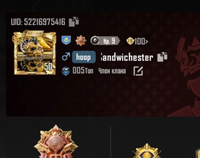 Аккаунт пабг + 823uc