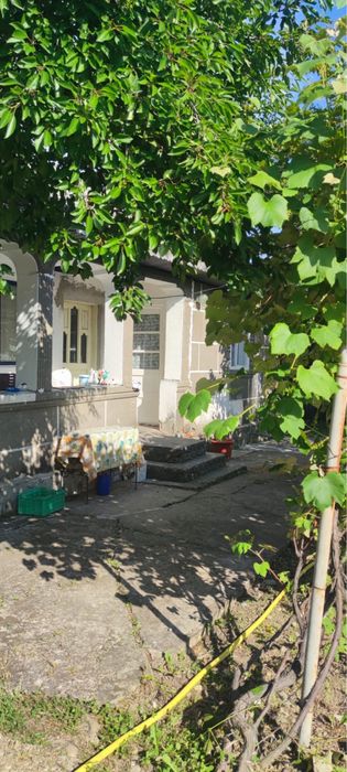 Casă renovată + livadă de pruni și vie | Dogari, Ciomăgești, Argeș