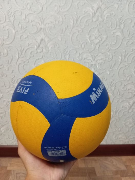 Валейбольный мяч 5000
