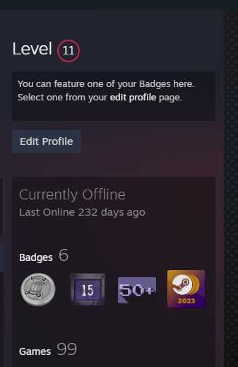 Игровой сервис Steam (Личный профиль)