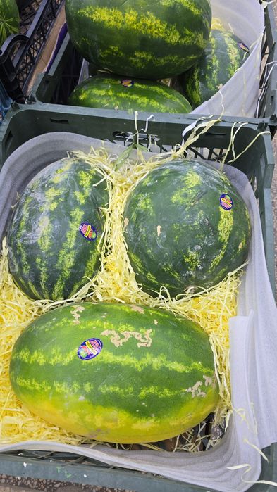 Продам готовый бизнес