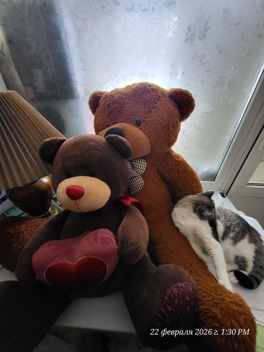 Продам мягких мишек