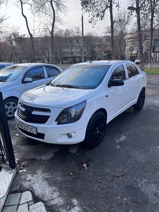 Cobalt   yili 2025