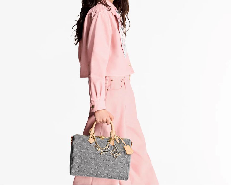 Сумка LV Louis Vuitton Speedy Soft 30