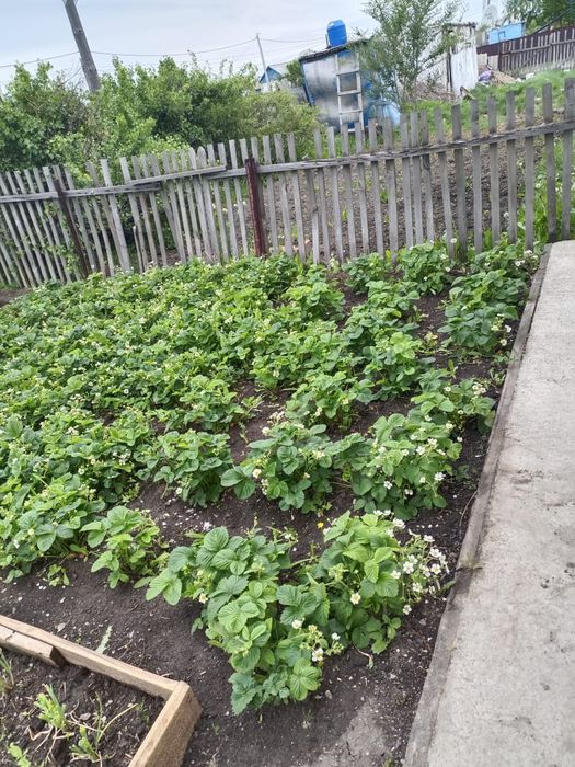 Продам срочно часть дома п.Шортанды