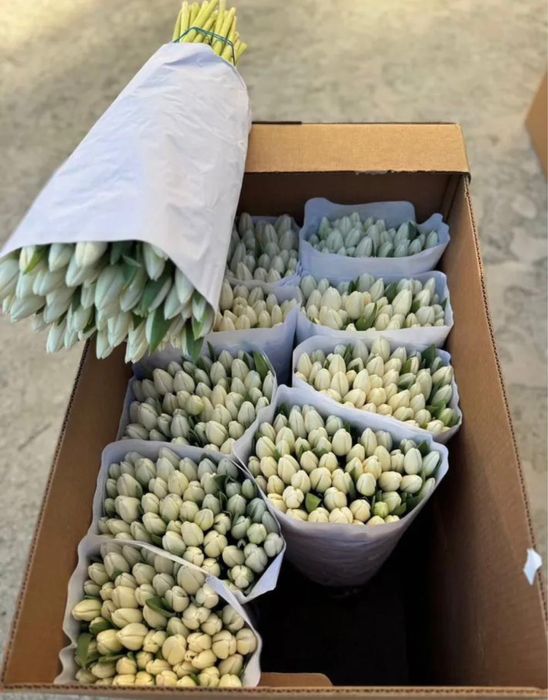 Астана тюльпаны на 8 марта