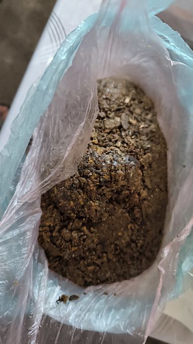 Propolis cu grija ales