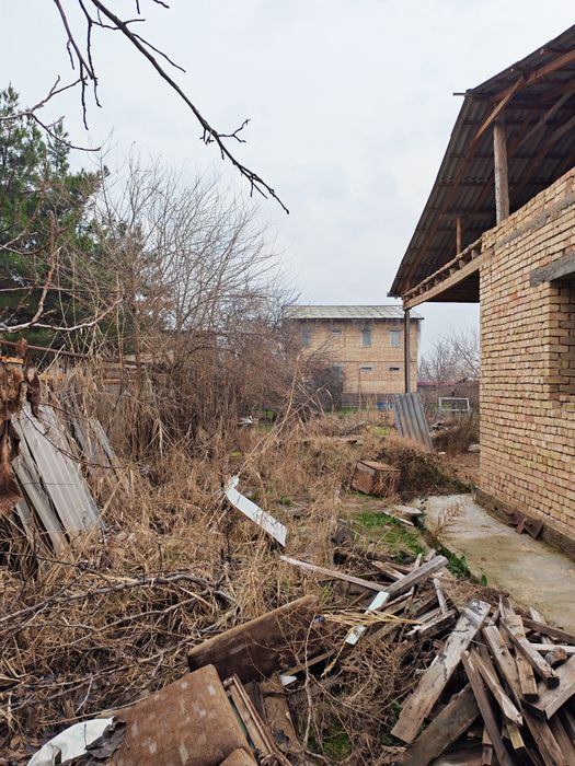 6 соток Чингельды