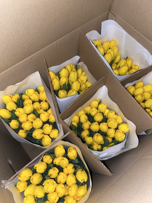 Тюльпаны к 8 марта