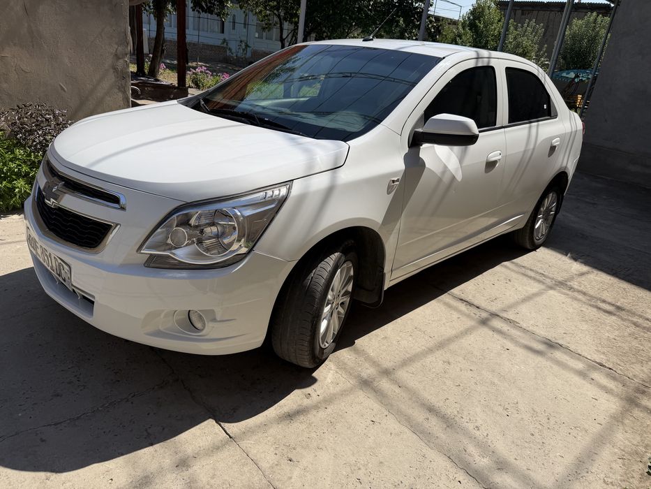 Cobalt sotladi srocniy realniy oladgan odam tel qsn