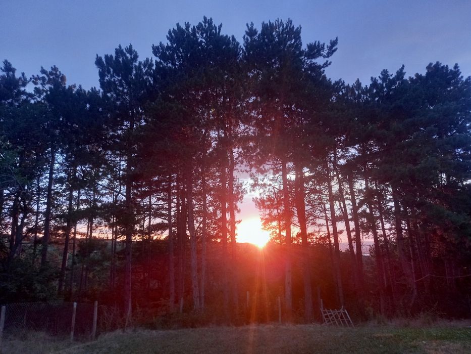 Продава се Къща в Варна, м-т Зеленика - 375 кв.м за 1678 €/кв.м - Снимка #7