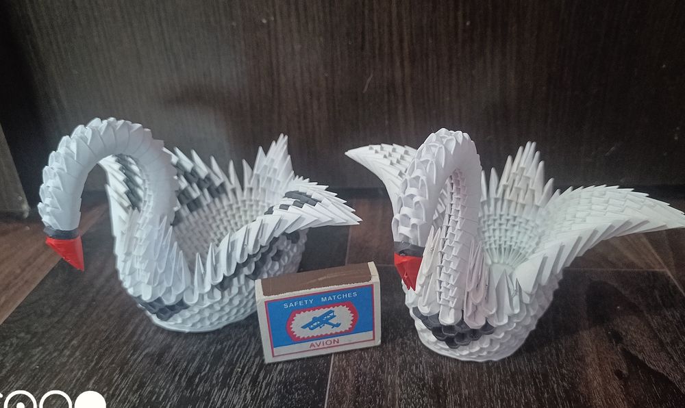 Пара белых лебедей