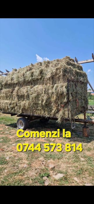 Baloti Rotunzi Lucerna min.40.or fan.Drept.min.500.Transport inclus>RO