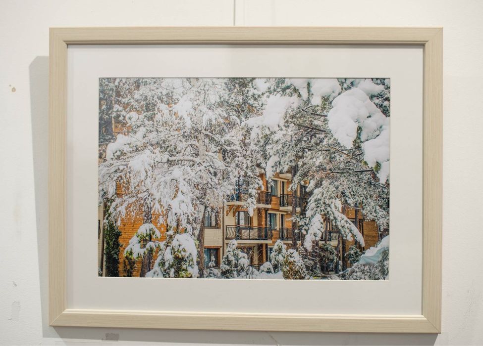 Професионално заснети картини в рамка - идеални за дома и офиса